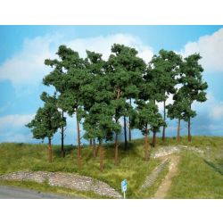 HEKI 1954 Sosna 20 cm, 5 szt.