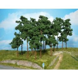 HEKI 1954 Sosna 20 cm, 5 szt.