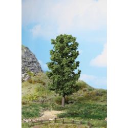 HEKI 1981 Buk 20 cm, 1 szt.