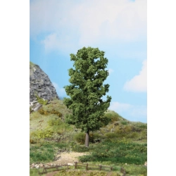 HEKI 1981 Buk 20 cm, 1 szt.