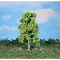 HEKI 1986 Brzoza 18 cm, 1 szt.