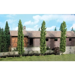 HEKI 1989 Topola 36 cm, 3 szt.