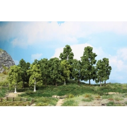 HEKI 1991 Drzewa liściaste 10-18 cm, 15 szt.