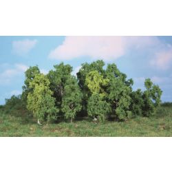 HEKI 1992 Drzewa liściaste 5-12 cm, 14 szt.