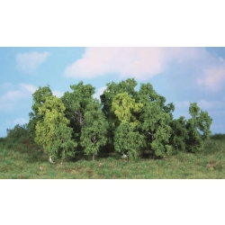 HEKI 1992 Drzewa liściaste 5-12 cm, 14 szt.
