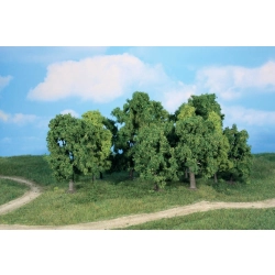 HEKI 1993 Drzewa liściaste 8-13 cm, 12 szt.