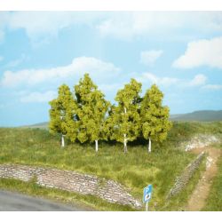 HEKI 1998 Brzoza 8 cm, 6 szt.
