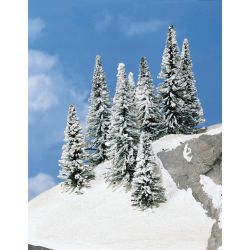 HEKI 2161 Jodła ośnieżona 7-12 cm, 8 szt.