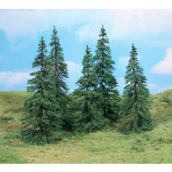 HEKI 2170 Jodła 14-18 cm, 5 szt.