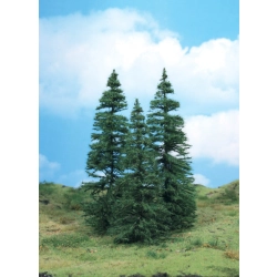 HEKI 2171 Jodła 18-24 cm, 3 szt.