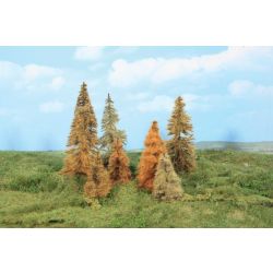 HEKI 2178 Modrzew jesienny 7-11 cm 7 sztuk