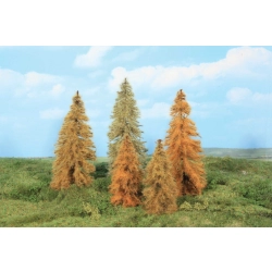 HEKI 2179 Modrzew jesienny 14-18 cm 5 sztuk