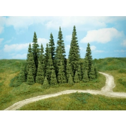 HEKI 2180 Jodła 3-7 cm, 30 szt.