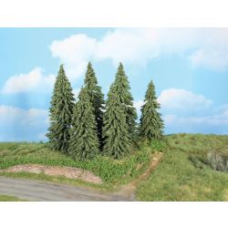 HEKI 21801 Jodły 14-18 cm, 6 szt.