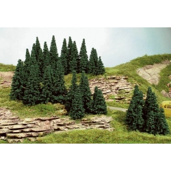 HEKI 2191 Świerk 5-7 cm, 100 szt.