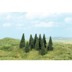 HEKI 2196 Sosna 5-7 cm. 100 sztuk