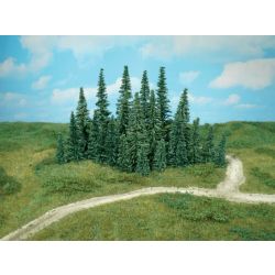 HEKI 2231 Jodła 5-12 cm, 50 szt.