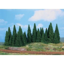 HEKI 2241 Jodły 5-12 cm, 35 szt.