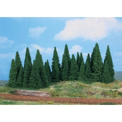 HEKI 2241 Jodły 5-12 cm, 35 szt.