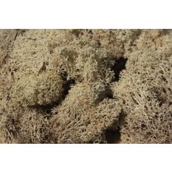 HEKI 3212 Mech szary 30 g