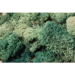 HEKI 3217 Mech szaro-zielony 30 g