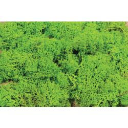 HEKI 3230 Mech jasnozielony 250 g