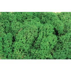 HEKI 3231 Mech ciemnozielony 250 g