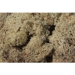 HEKI 3233 Mech szary 250 g