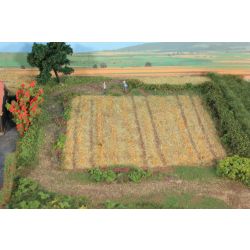 HEKI 33520 Trawa elektrostatyczna - Ściernisko / skoszone pole 2-3 mm, 50 g