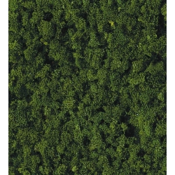 HEKI 3387 Trawa grubsza ciemnozielona 200 ml