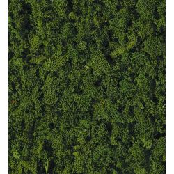 HEKI 3389 Trawa gruba ciemnozielona 200 ml