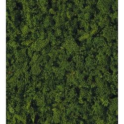 HEKI 3389 Trawa gruba ciemnozielona 200 ml