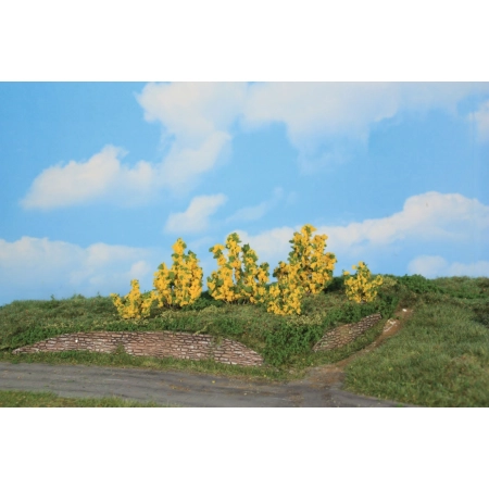 HEKI 11800 Krzewy forsycji 3-6 cm, 6 szt.