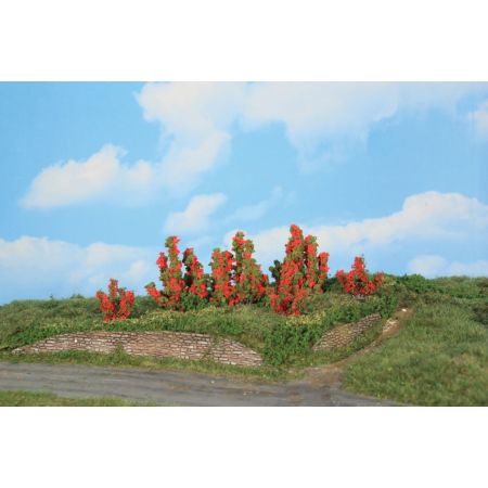 HEKI 11801 Krzewy róż 3-6 cm, 6 szt.