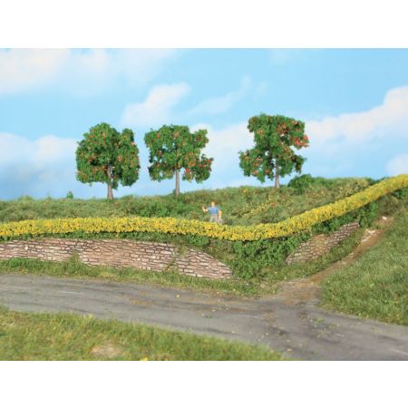 HEKI 11805 Żywopłot z krzewów forsycji 7x7x500 mm, 2 szt.