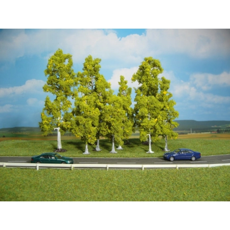 HEKI 1322 Brzoza 10-18 cm, 10 szt.