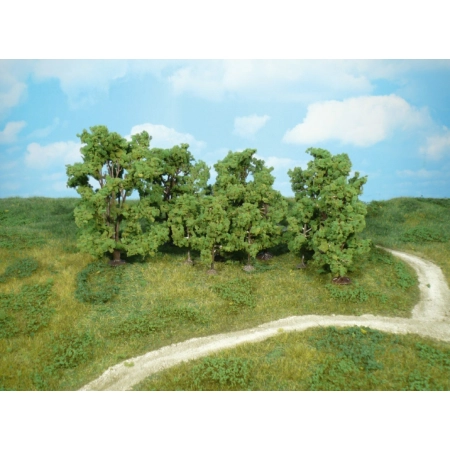 HEKI 1415 Drzewa liściaste  6-13 cm, 12 szt.