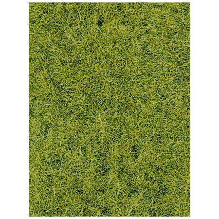 HEKI 1576 Trawa siateczka leśna zieleń 28x14 cm