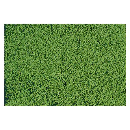 HEKI 1600 HEKI Mikroflor jasnozielony 28x14 cm