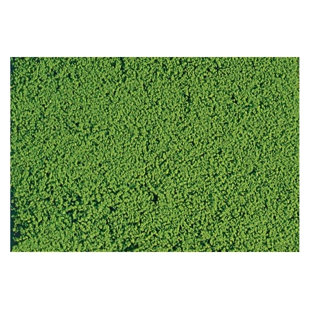 HEKI 1600 HEKI Mikroflor jasnozielony 28x14 cm