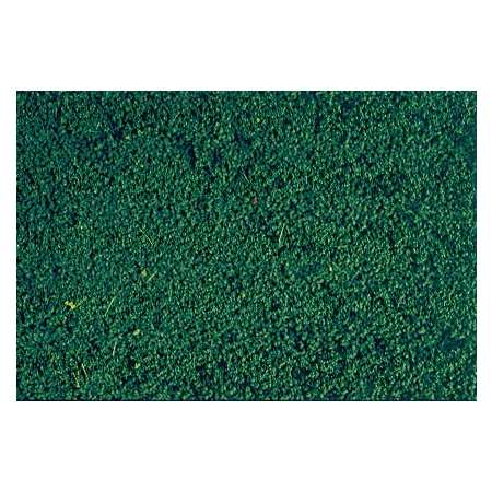 HEKI 1603 HEKI Mikroflor zieleń sosny 28x14 cm