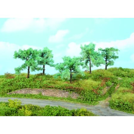 HEKI 1773 Drzewo oliwne 8-10 cm, 5 szt.