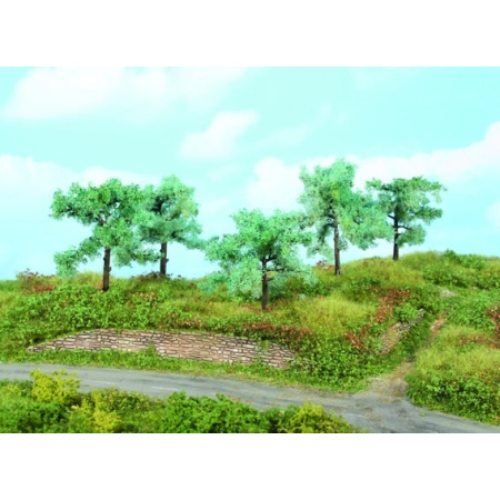 HEKI 1773 Drzewo oliwne 8-10 cm, 5 szt.