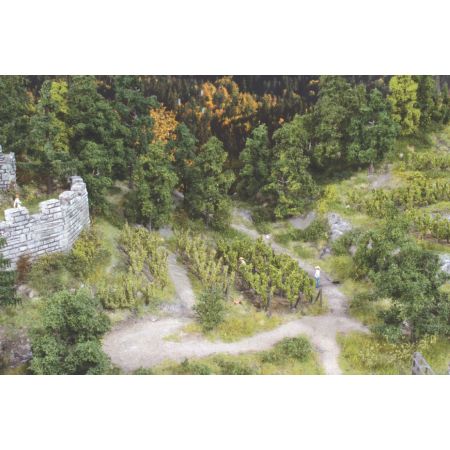 HEKI 19136 Winorośl 2,5 cm, 36 szt.