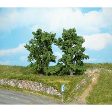 HEKI 1914 Jesion górski 13 cm, 2 szt.