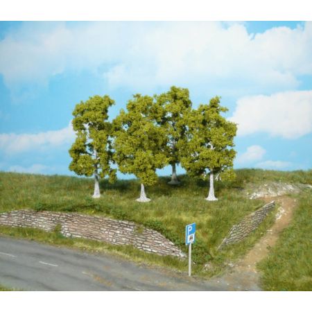 HEKI 1921 Brzoza 10 cm, 4 szt.