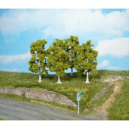 HEKI 1921 Brzoza 10 cm, 4 szt.