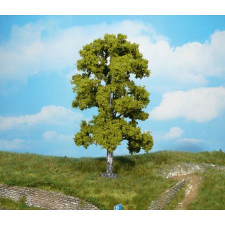 HEKI 1923 Brzoza 18 cm, 1 szt.