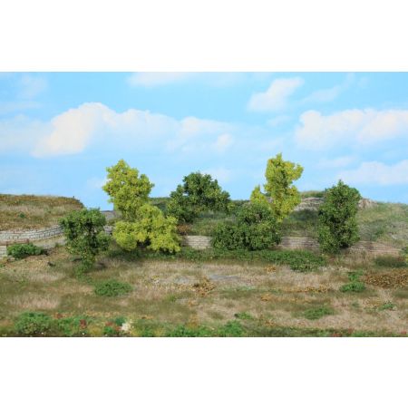 HEKI 1927 Krzaki i krzewy 6-8 cm, 7 szt.