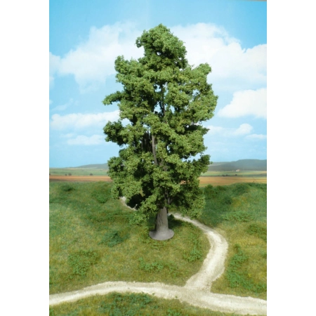 HEKI 1942 Klon 30 cm, 1 szt.